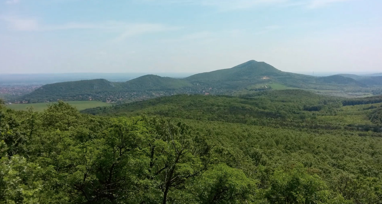 Read more about the article A megfigyelés